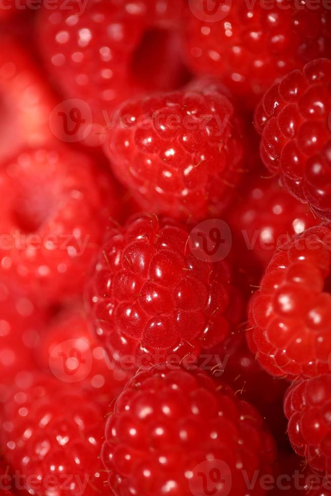 Fresh red cultivated ripe raspberries and currant berries, healthy food texture background angle view macro rubus phoenicolasius family rosaceae big size high quality botanical prints photo