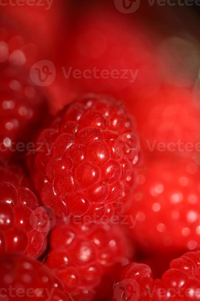 Fresh red cultivated ripe raspberries and currant berries, healthy food texture background angle view macro rubus phoenicolasius family rosaceae big size high quality botanical prints photo