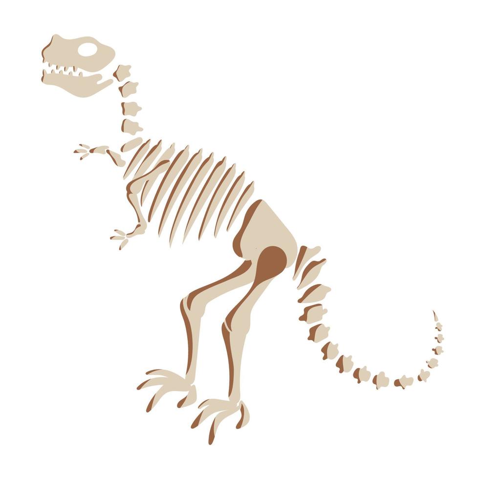 T rex dinosaur skeleton illustration. Prehistoric creature bones isolated. Dangerous ancient predator, tyrannosaurus fossil design element. Vector. vector