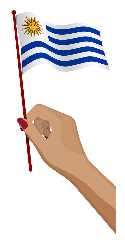 Female hand gently holds small flag of Uruguay. Holiday design element. Cartoon vector on white background