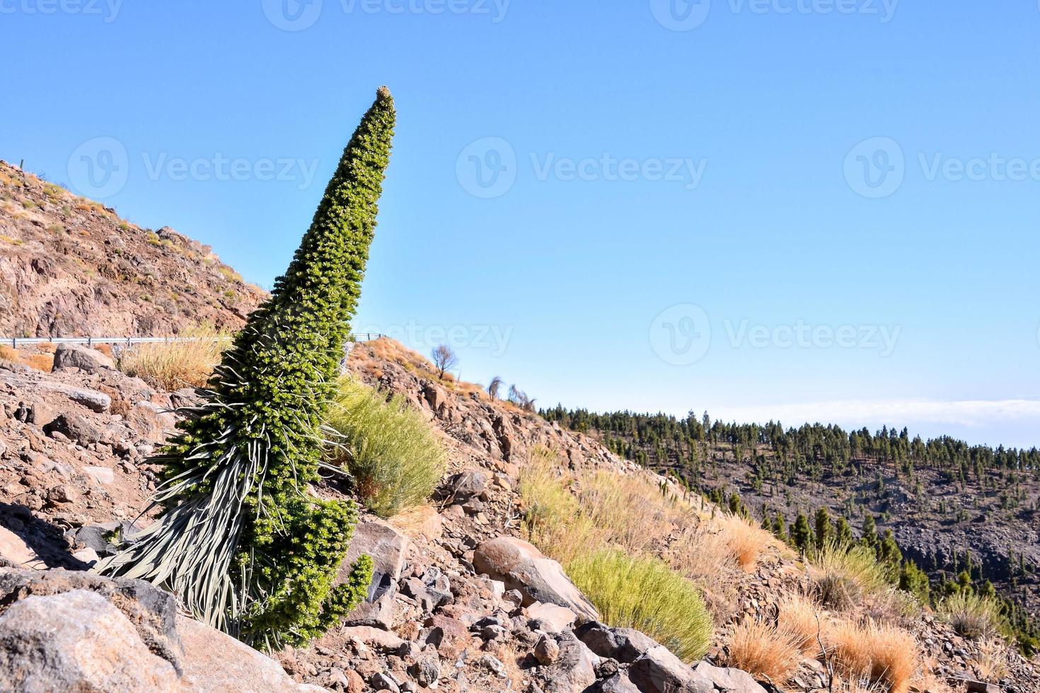 Scenic rural landscape photo