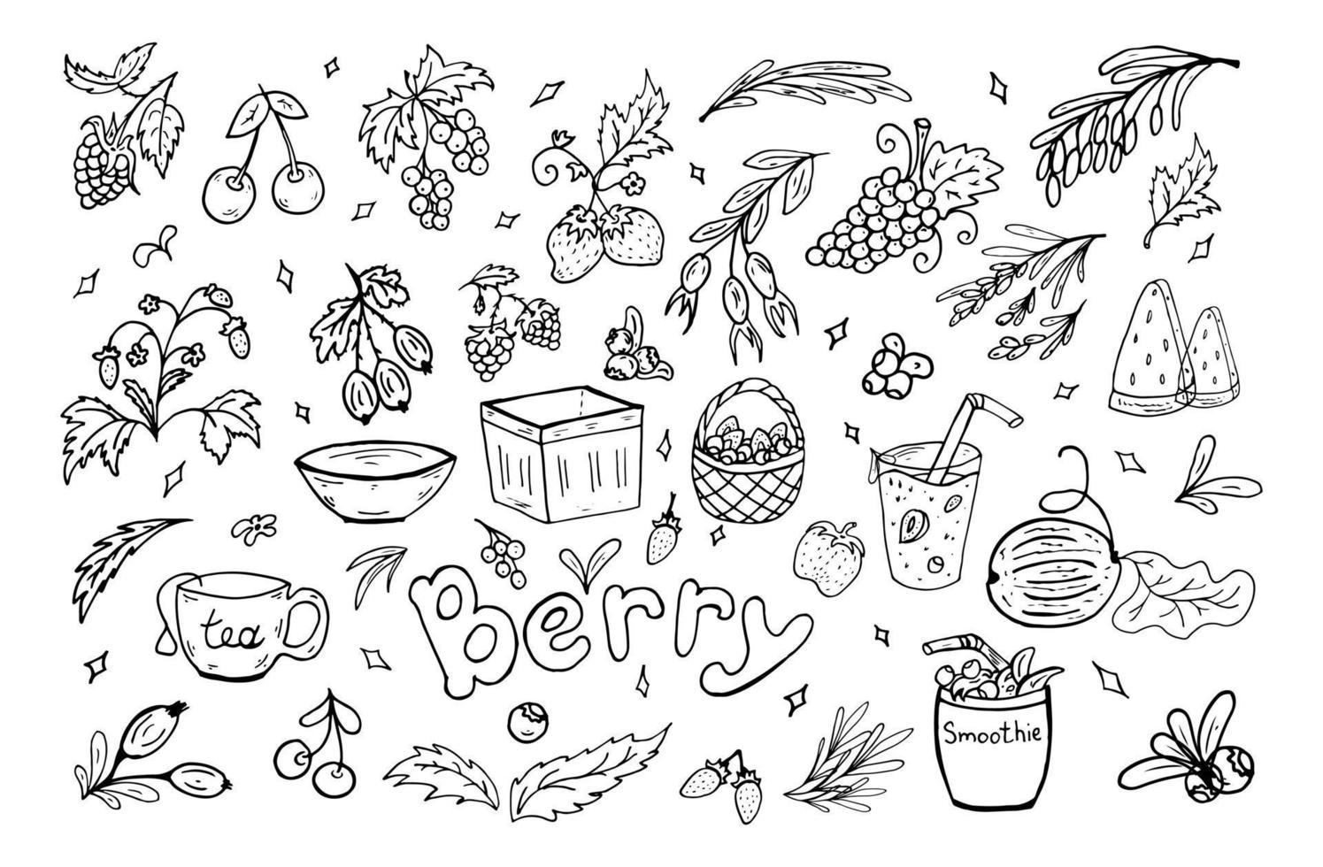 Set berries summer doodle. Vector illustration. Berry, leaves, baskets, smoothies, healthy food.