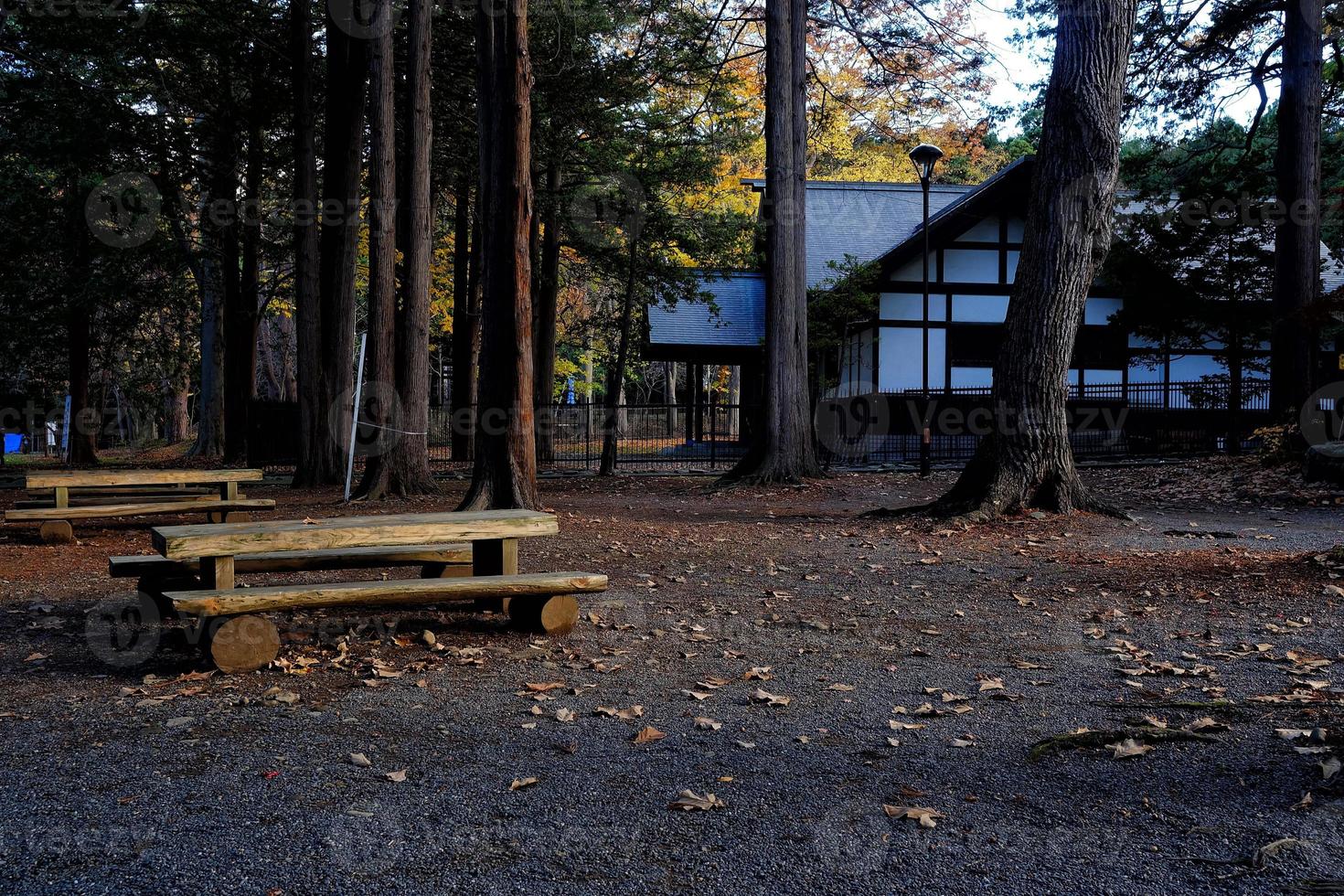 Wooden Bench in the Park. photo