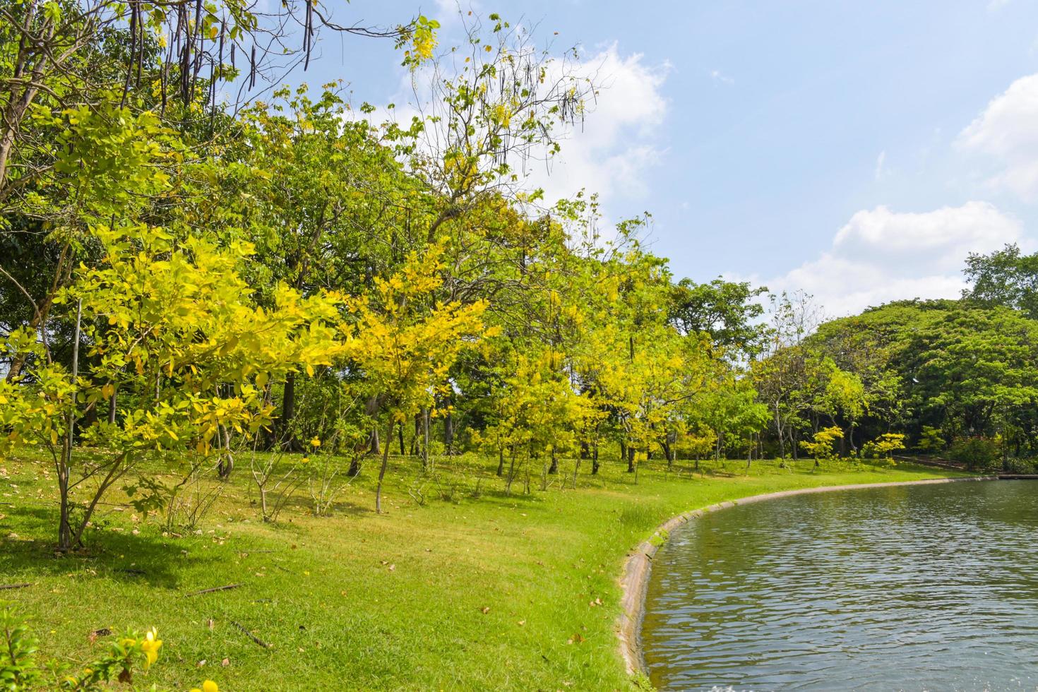 paisaje y agua en un jardín en Bangkok foto