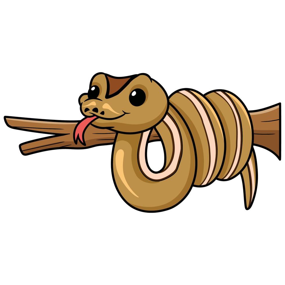 Cute cinnamon super stripe cartoon on tree branch vector