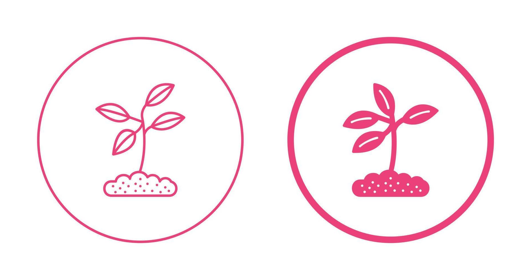 Plant Vector Icon