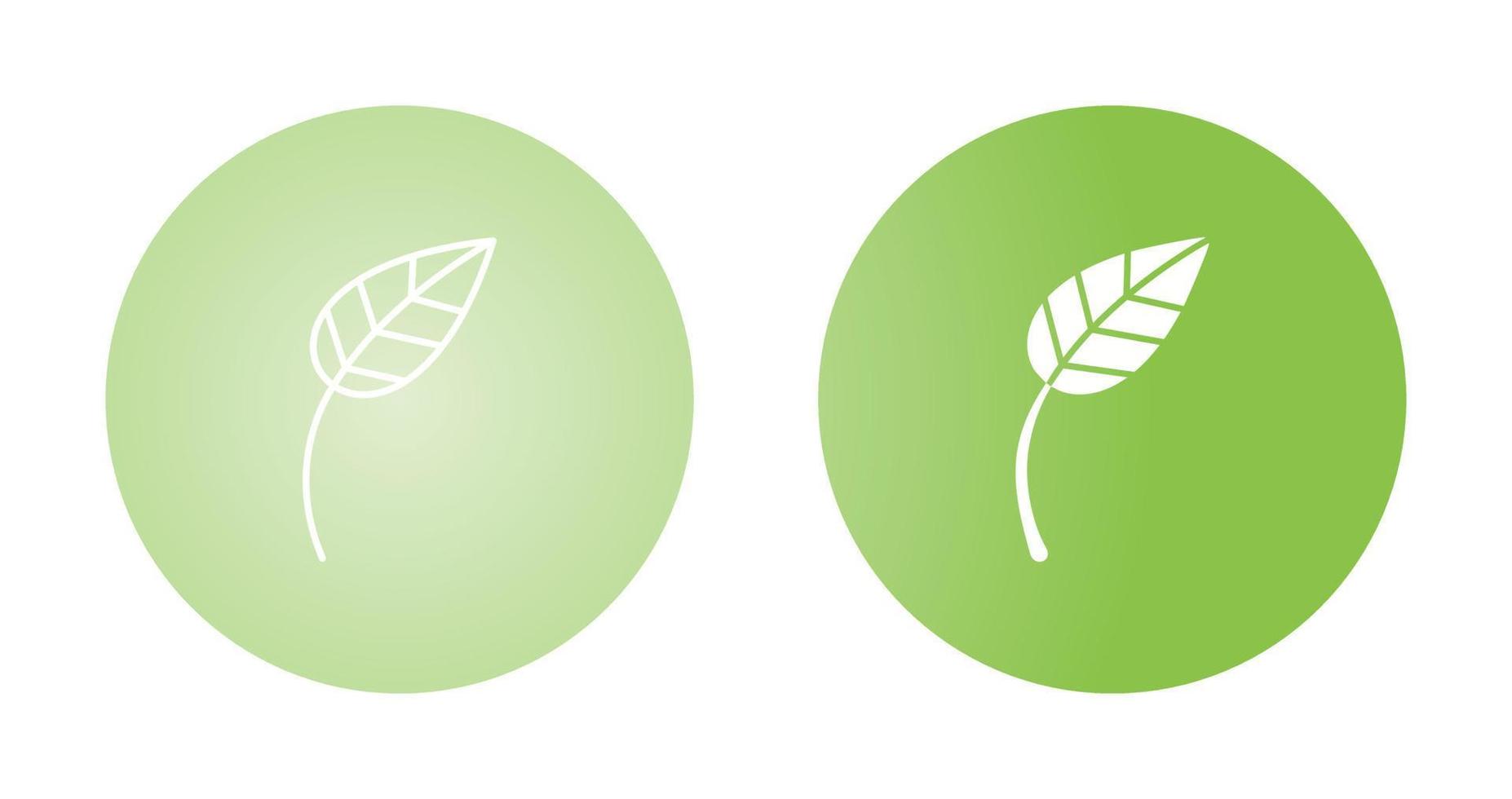 Leaf Vector Icon