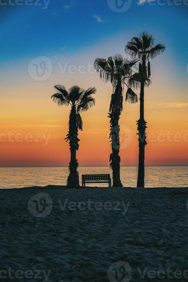 seaside landscape peace and quiet sunset and four palm trees on the beach and a bench photo
