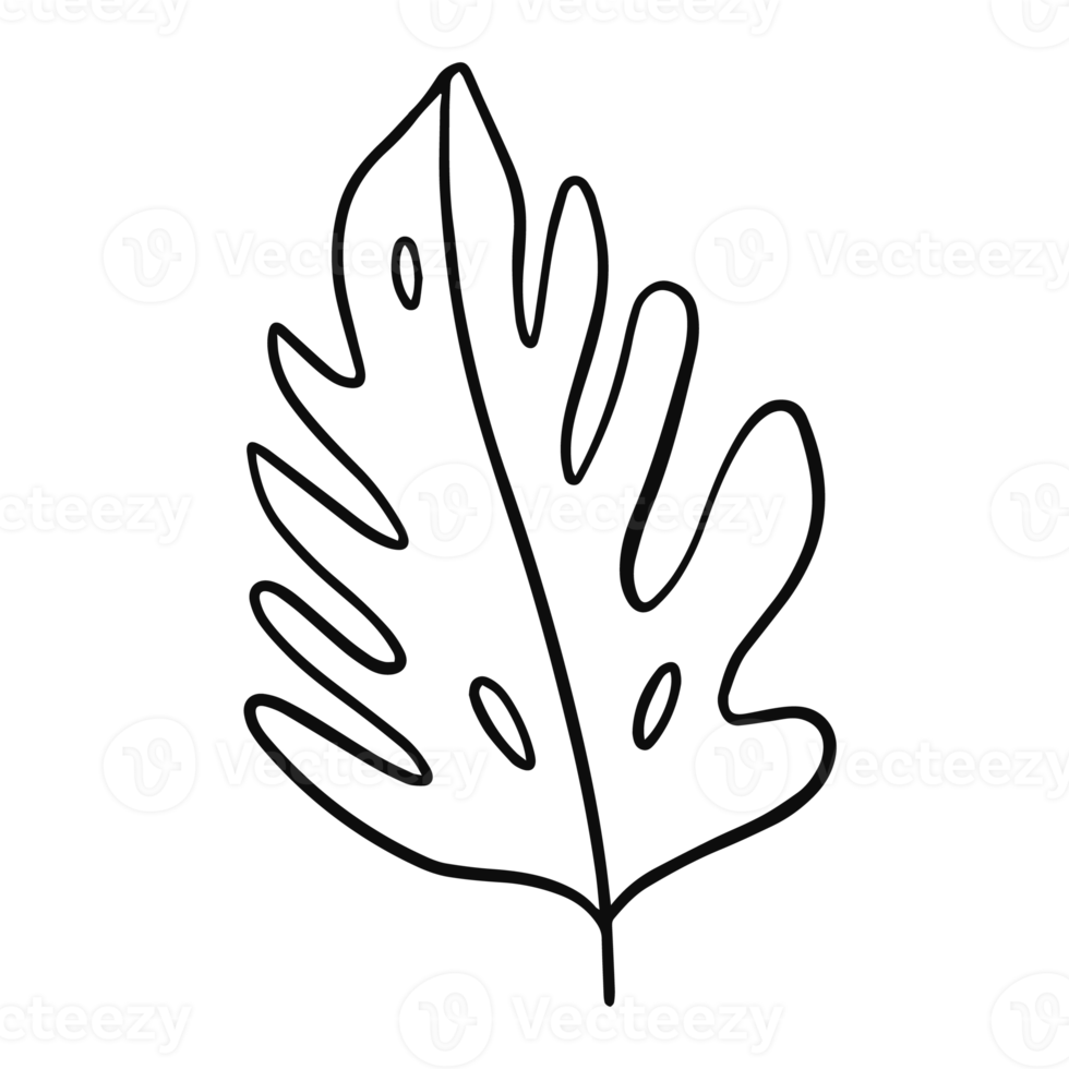 Outline style black color leaf png