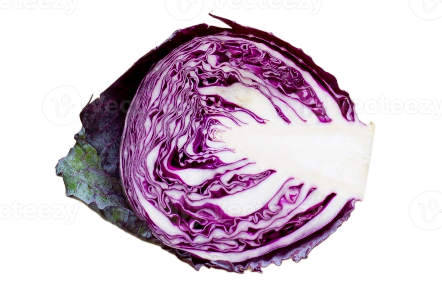 Half red cabbage isolated on a transparent background png