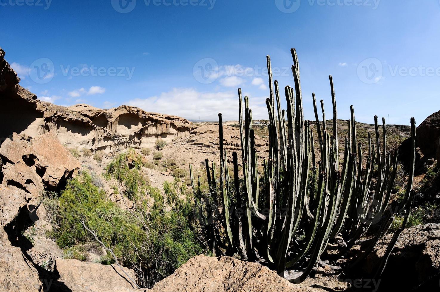 escénico rural paisaje foto