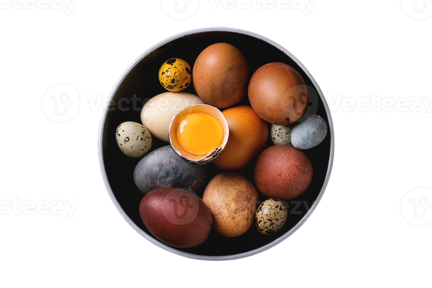 Different types of eggs isolated on a transparent background png
