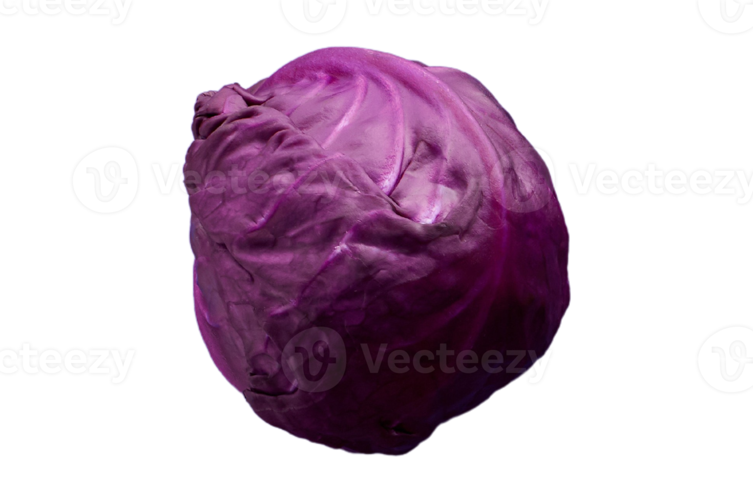 Purple cabbage isolated on a transparent background png