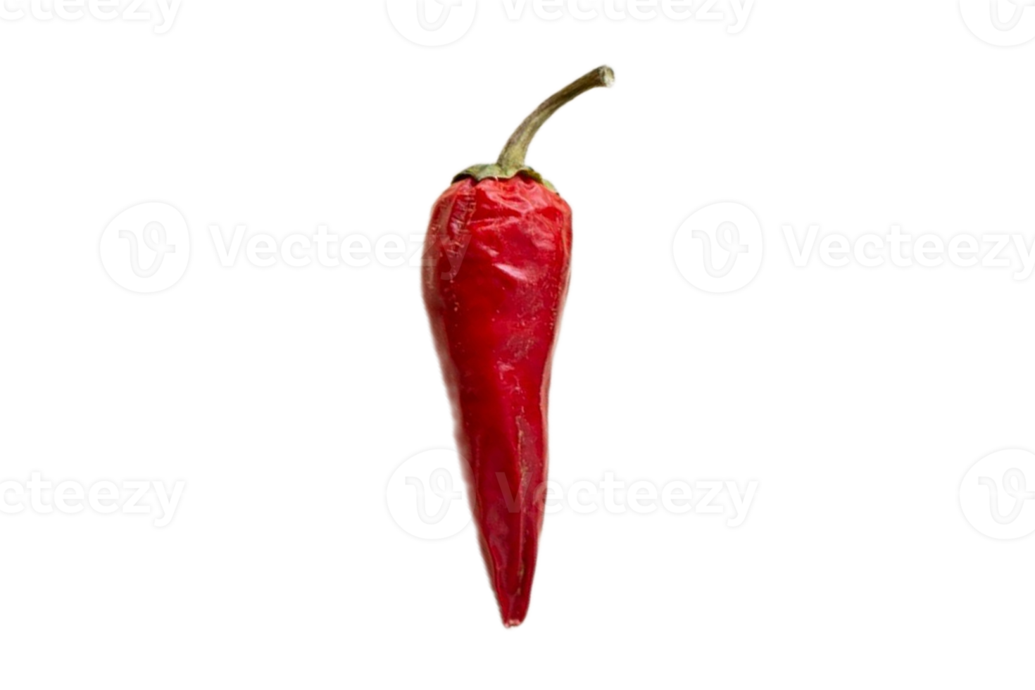 rood heet peper geïsoleerd Aan een transparant achtergrond png