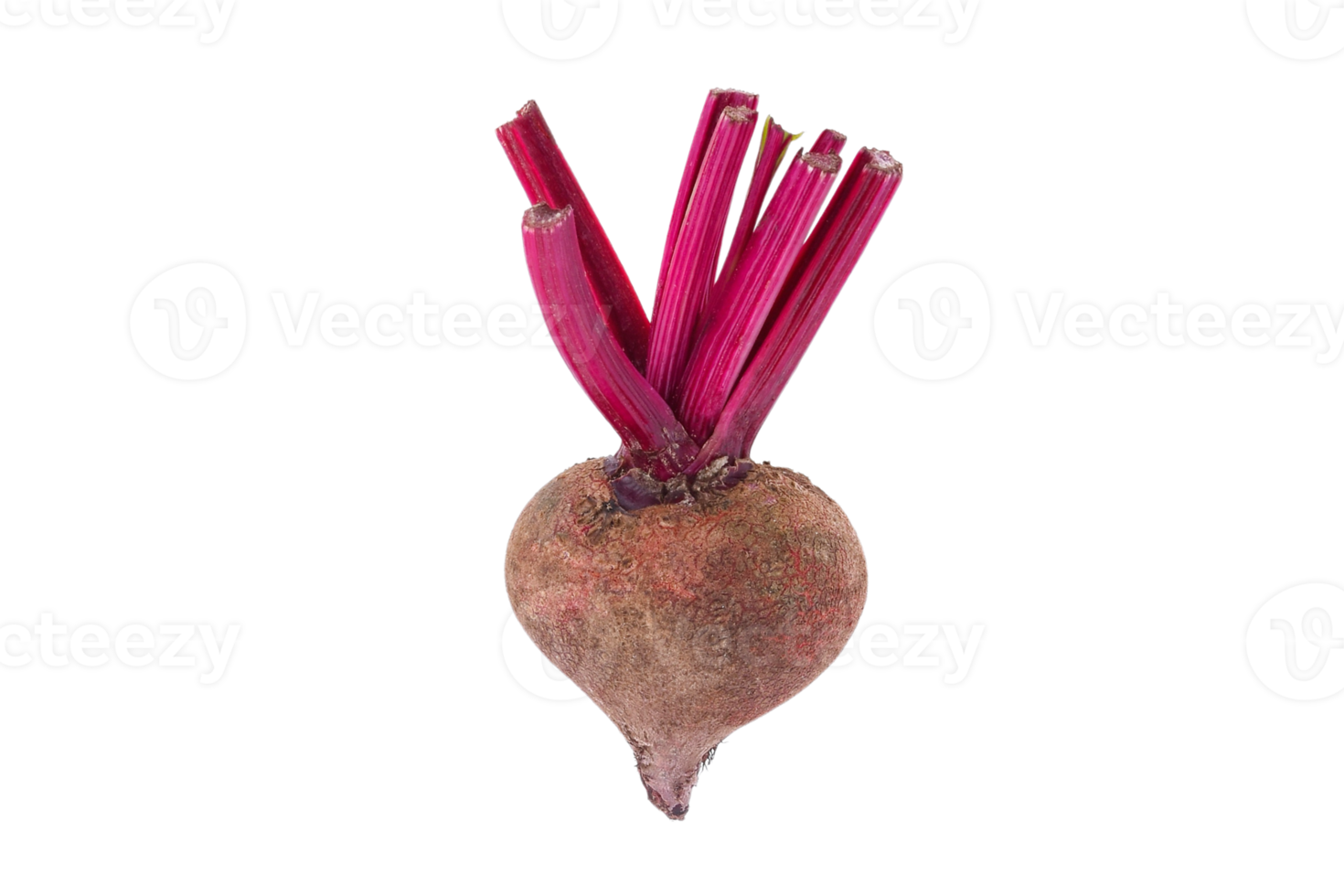 Beetroot isolated on a transparent background png