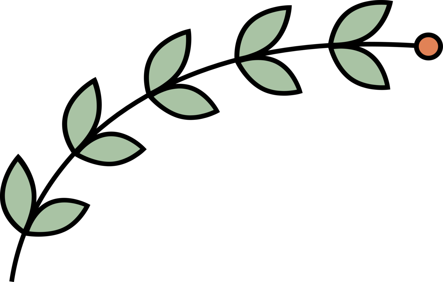 Outline flower with leaves clip art png