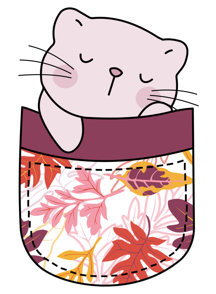 Cute cat in a colorful pocket png