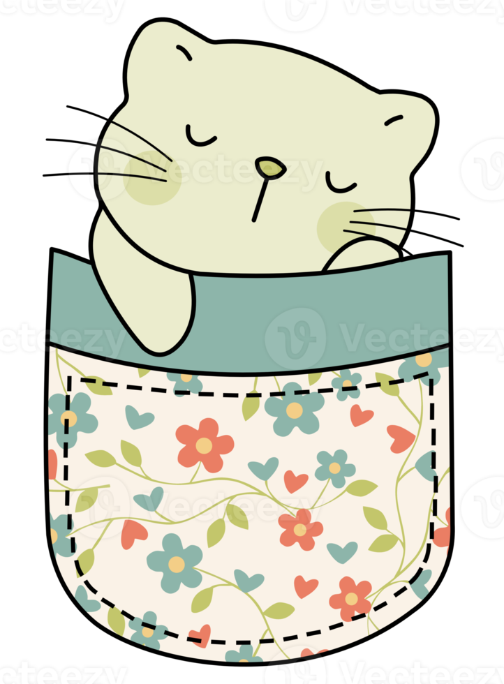 Cute cat in a colorful pocket png