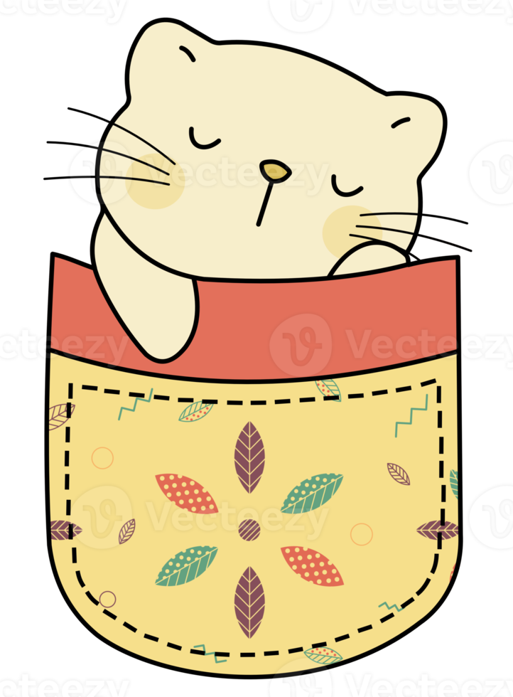 Cute cat in a colorful pocket png