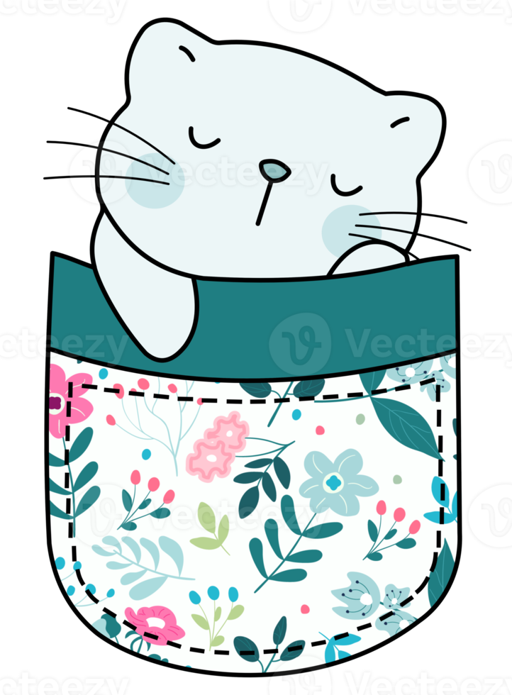 Cute cat in a colorful pocket png