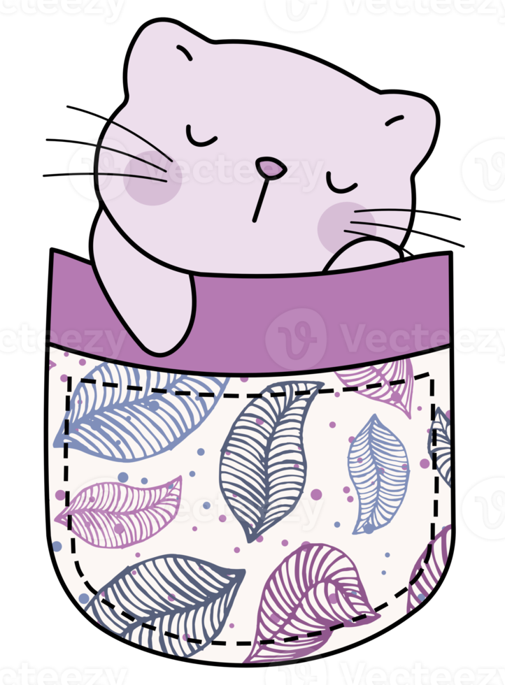 Cute cat in a colorful pocket png