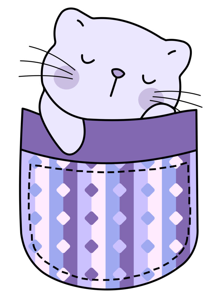 Cute cat in a colorful pocket png