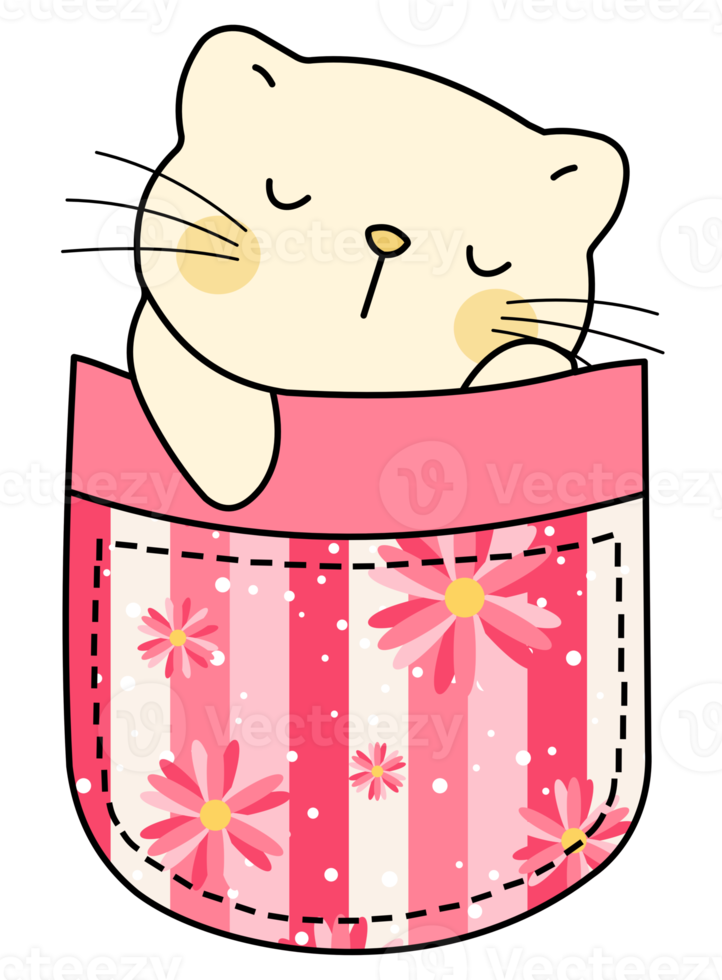 Cute cat in a colorful pocket png