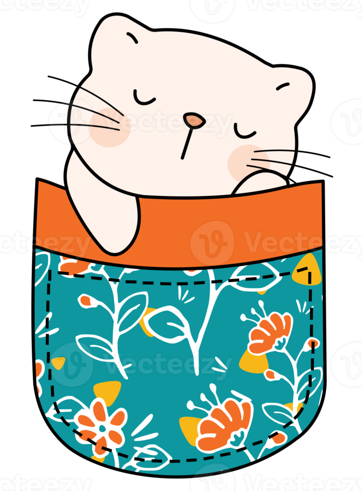 Cute cat in a colorful pocket png