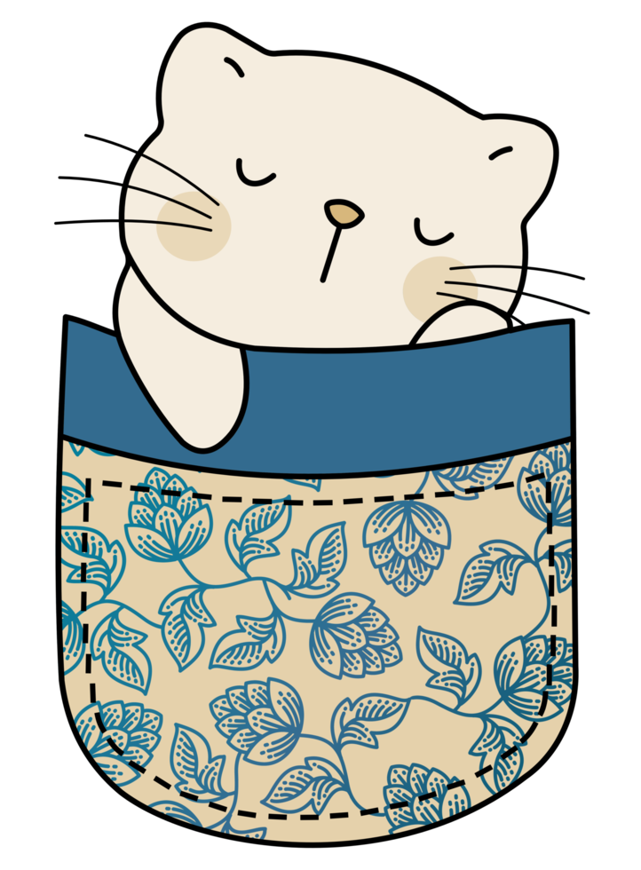 Cute cat in a colorful pocket png