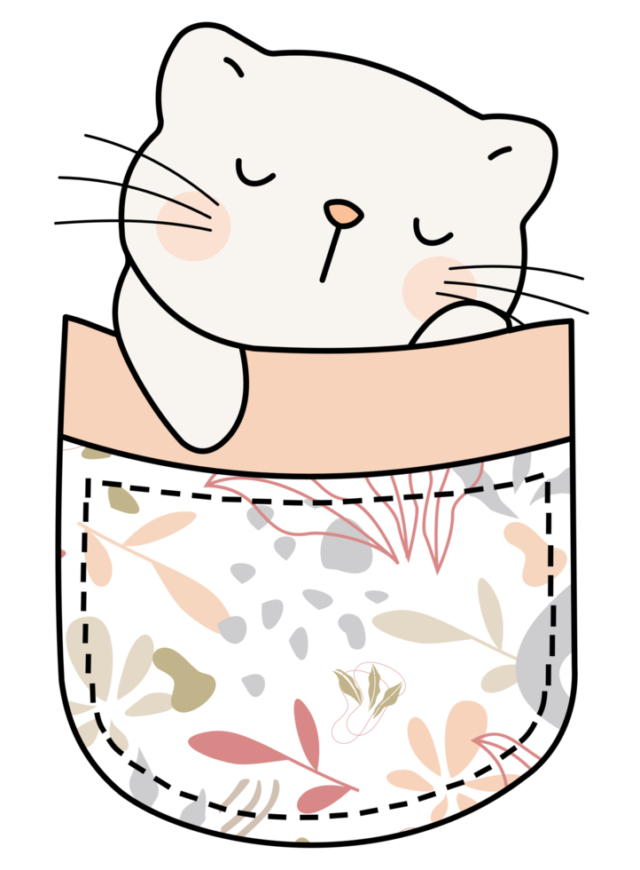 Cute cat in a colorful pocket png