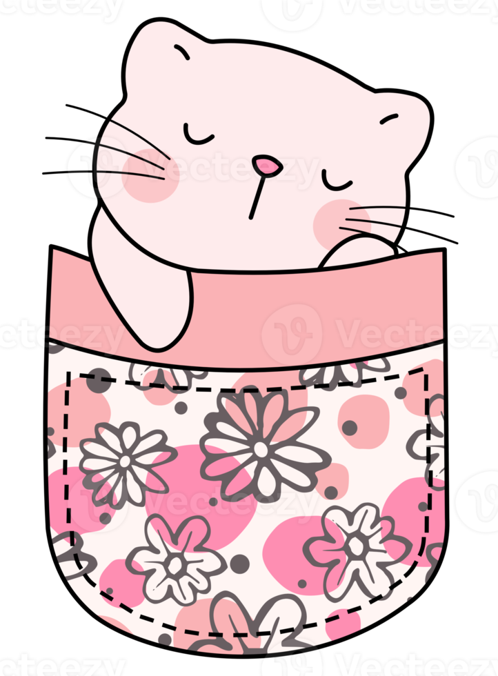 Cute cat in a colorful pocket png
