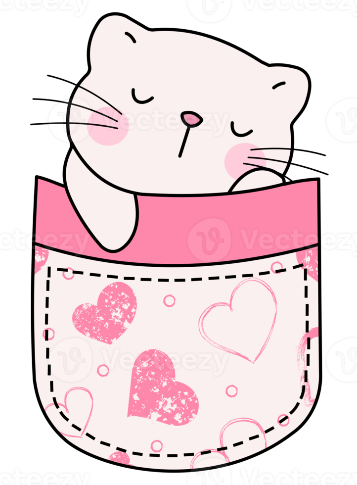 Cute cat in a colorful pocket png