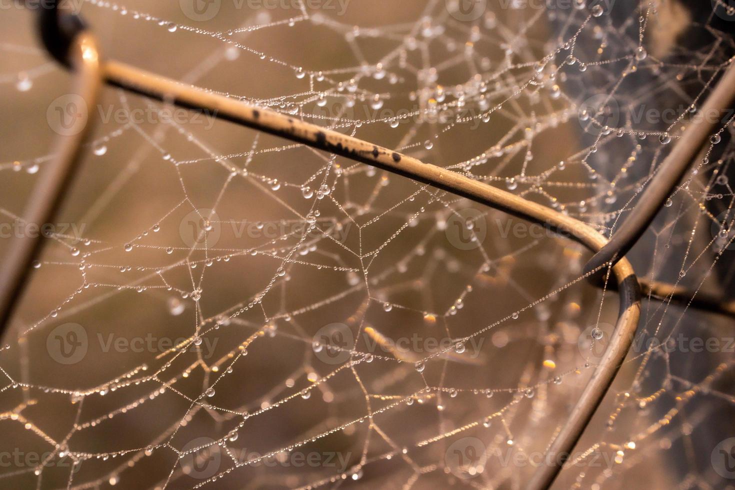little delicate water drops on a spider web in close-up on a foggy day photo