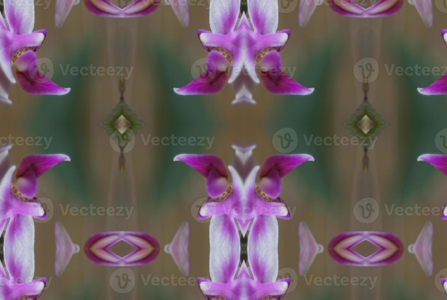 fractal, mathematical abstraction background photo