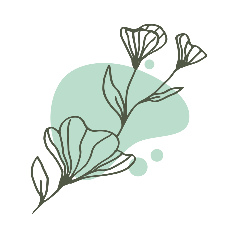 Hand drawn leaf with an aesthetic shape or aesthetic blob simple decoration png