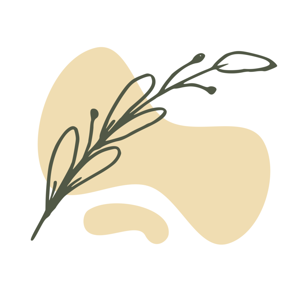 Hand drawn leaf with an aesthetic shape or aesthetic blob simple decoration png