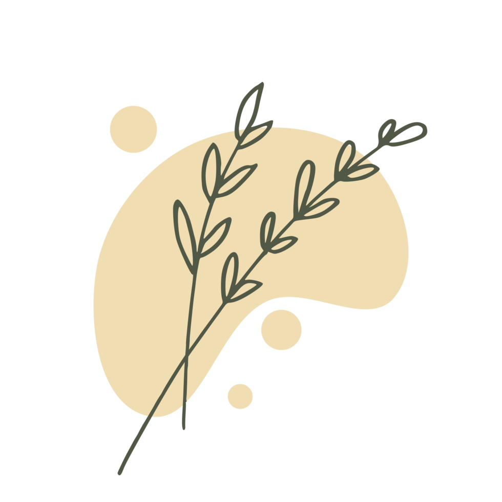 Hand drawn leaf with an aesthetic shape or aesthetic blob simple decoration png