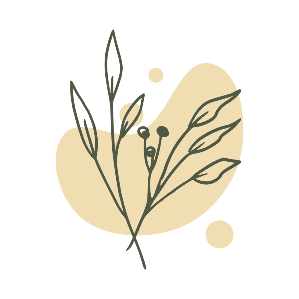 Hand drawn leaf with an aesthetic shape or aesthetic blob simple decoration png