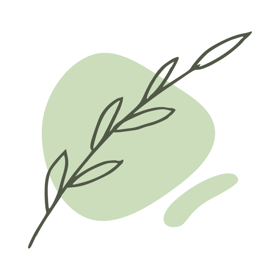 Hand drawn leaf with an aesthetic shape or aesthetic blob simple decoration png