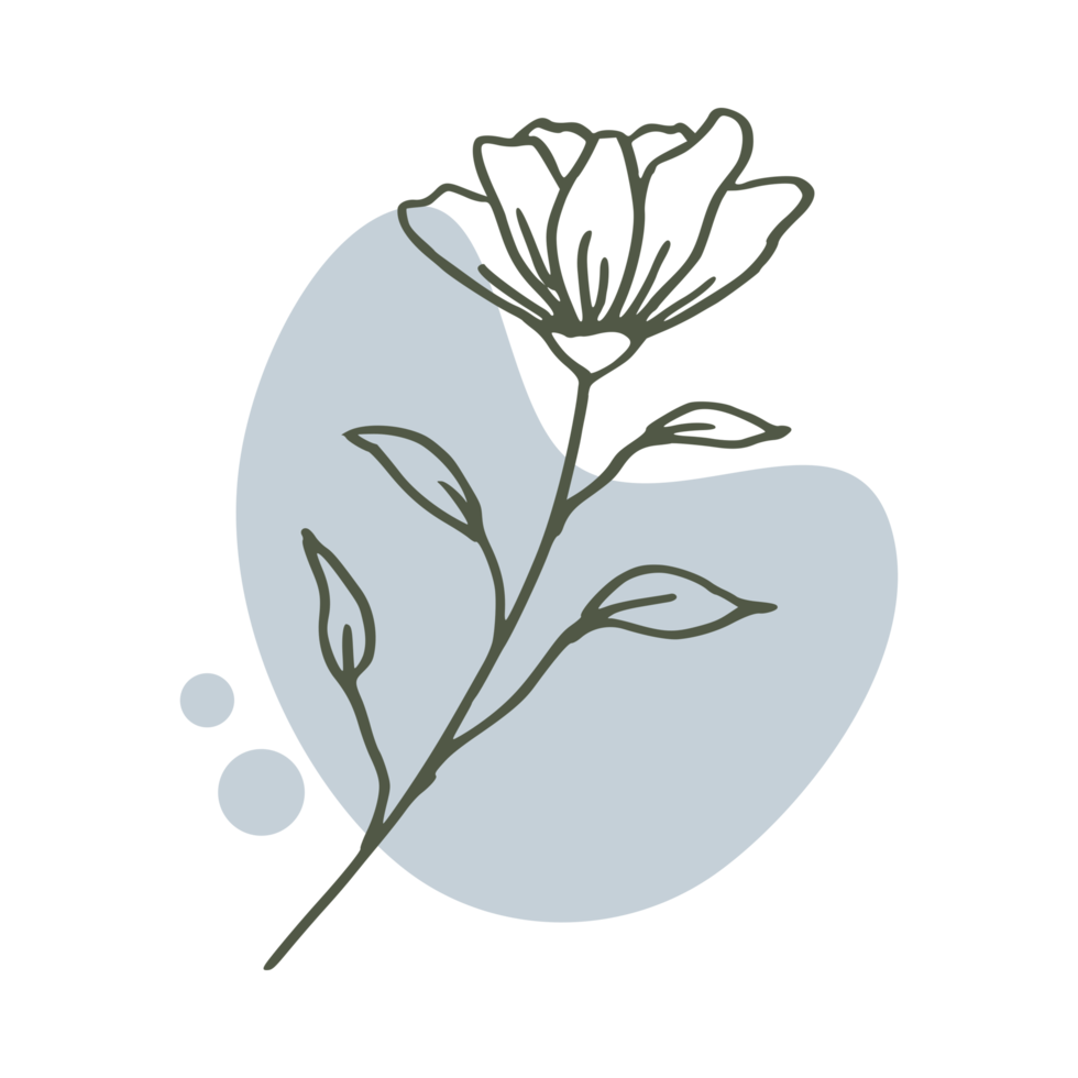 Hand drawn leaf with an aesthetic shape or aesthetic blob simple decoration png