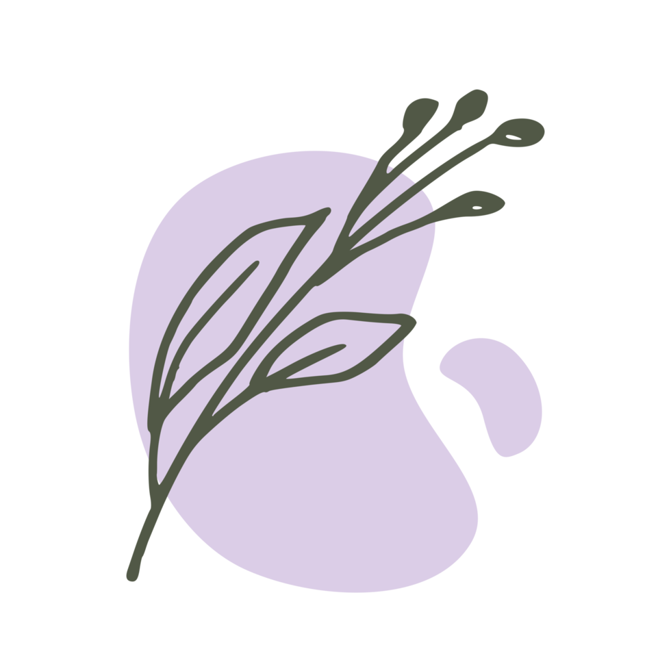 Hand drawn leaf with an aesthetic shape or aesthetic blob simple decoration png