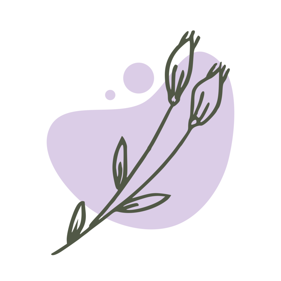 Hand drawn leaf with an aesthetic shape or aesthetic blob simple decoration png