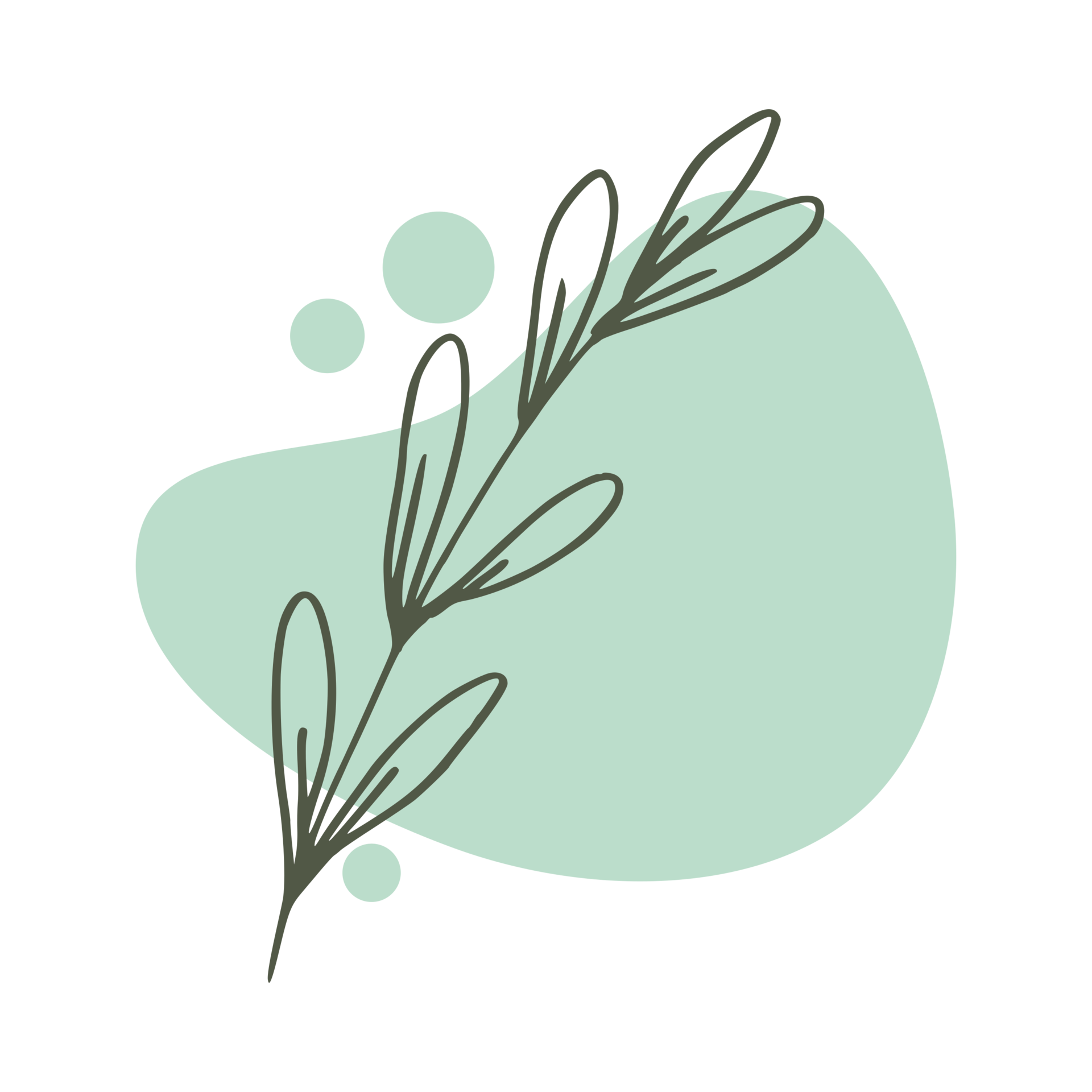 Hand drawn leaf with an aesthetic shape or aesthetic blob simple