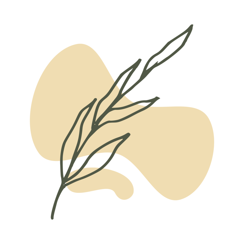 Hand drawn leaf with an aesthetic shape or aesthetic blob simple decoration png