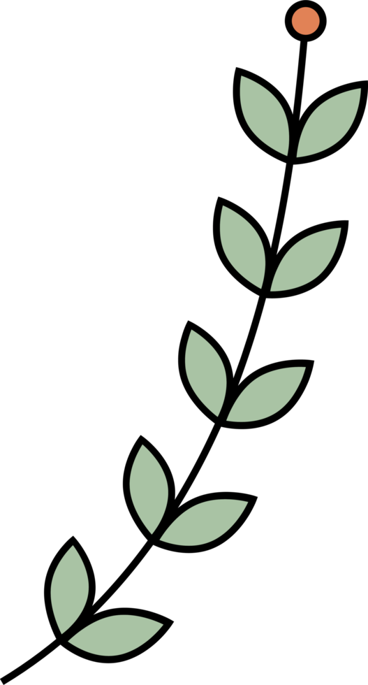 Outline flower with leaves clip art png