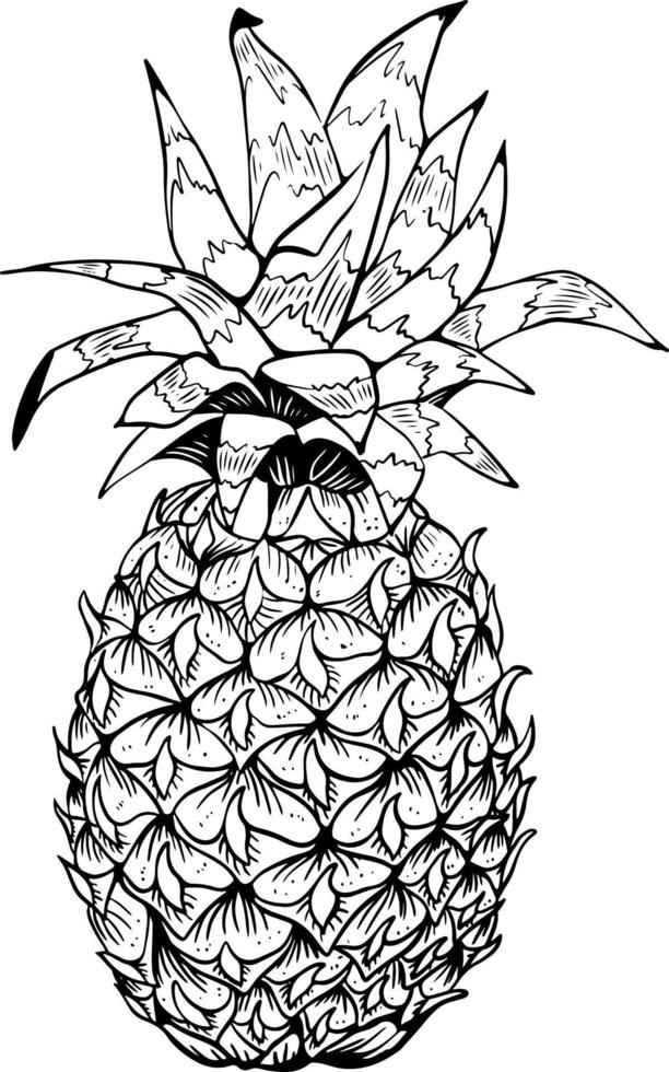 Line art single pineapple fruit sketch black on white background vector
