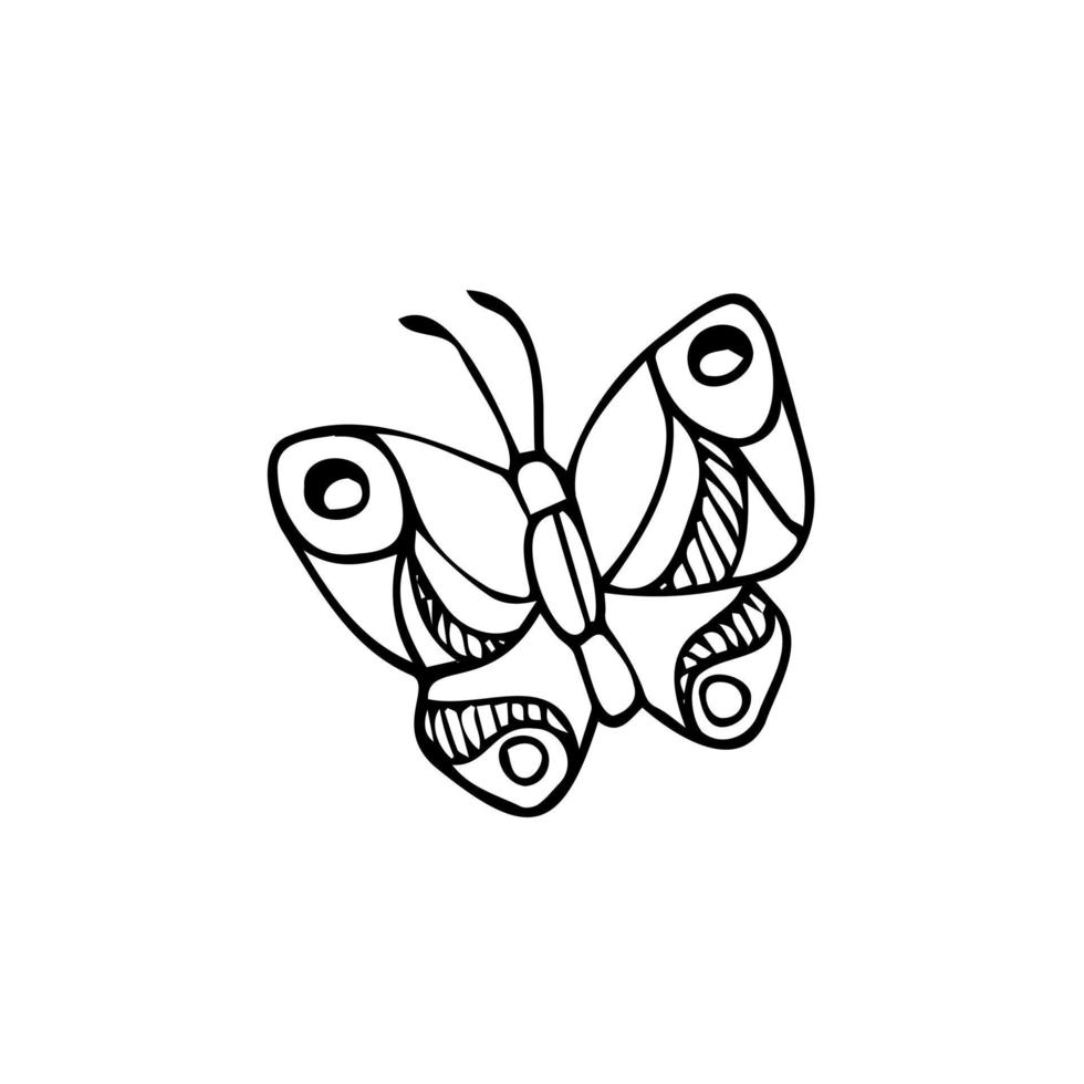 Outline drawing of butterfly. Vector illustration. Black line. Wings with a pattern.