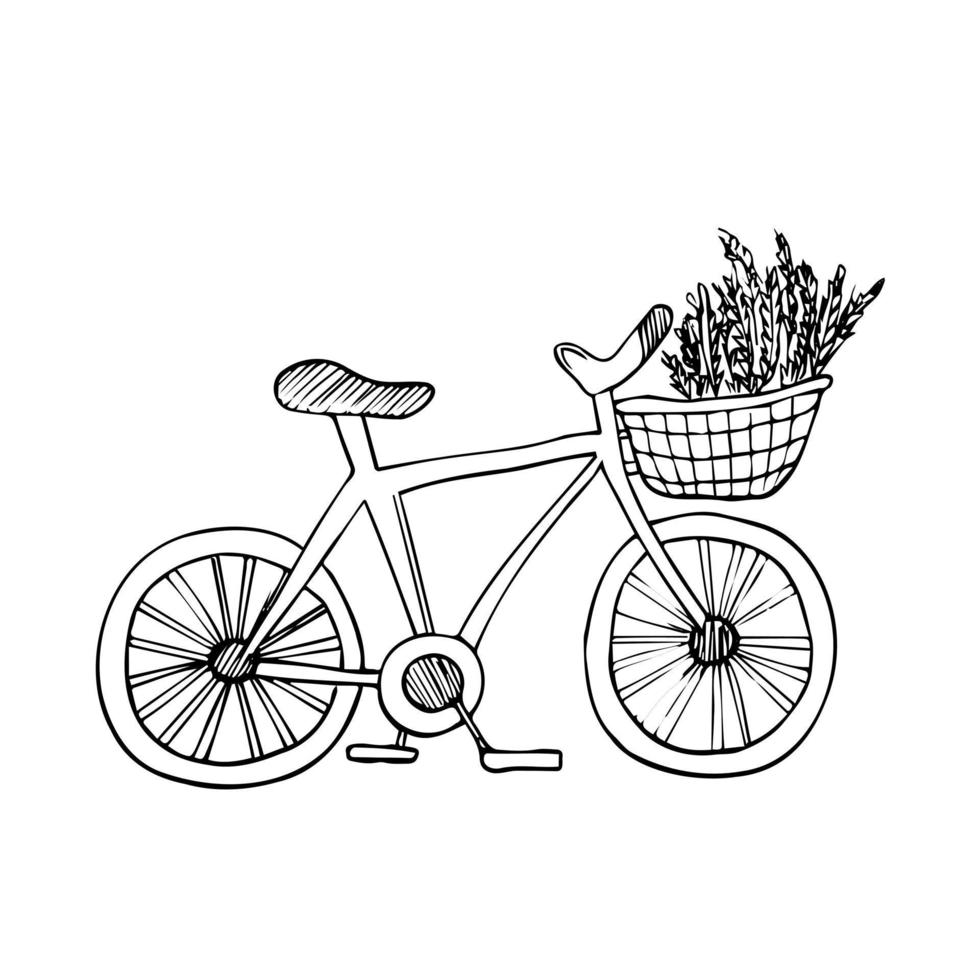 línea bicicleta con cesta de flores en garabatear estilo. mano dibujado vector ilustración aislado en blanco