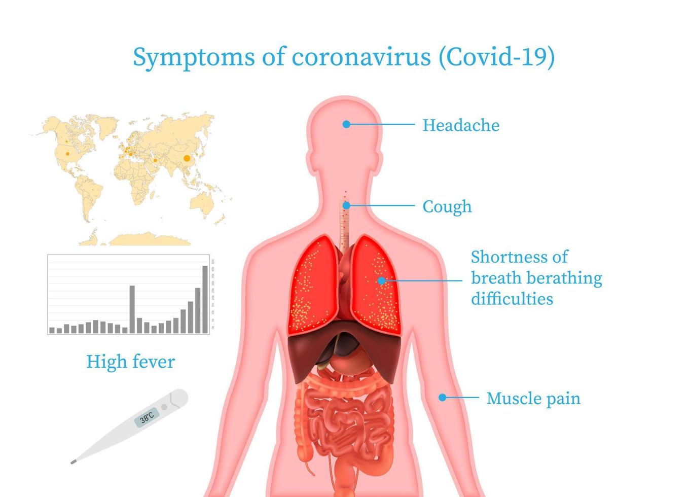 Medical infographic coronavirus symptoms, risk factors, prevention. 2019 nCoV. Symptoms of coronavirus fever, shortness of breath, cough. Vector illustration.