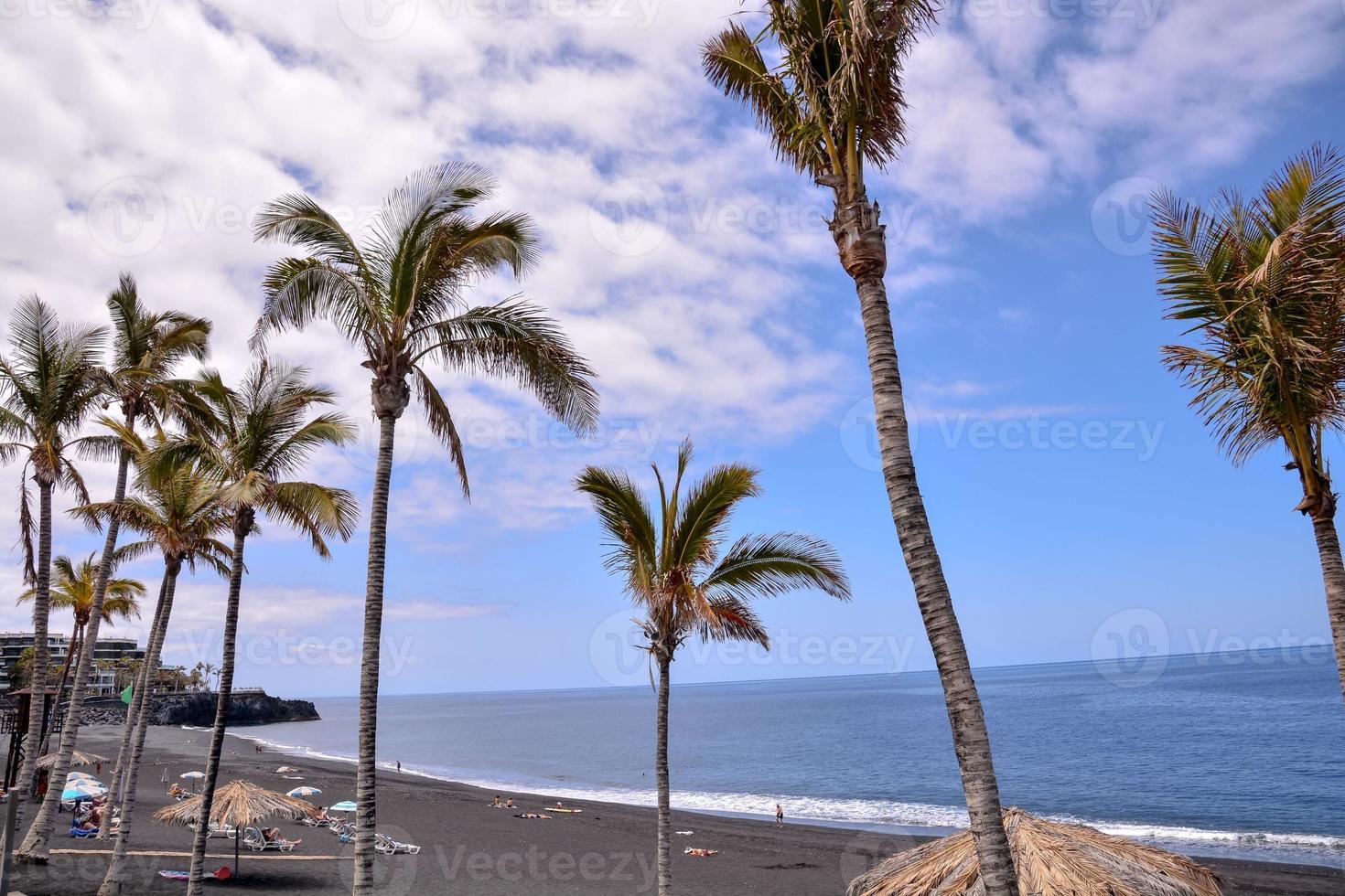 Scenic coastal view photo